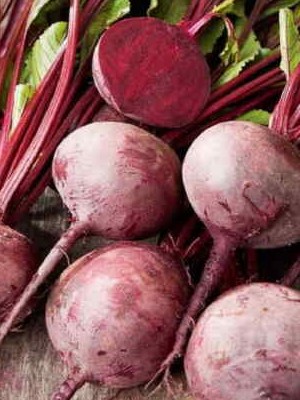 ΠΑΝΤΖΑΡΙ (8*20)