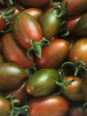 ΤΟΜΑΤΙΝΙ ΒΕΛΑΝΙΔΙ TIGER BROWN F1 ΑΝΑΡ/ΝΟ (*20)