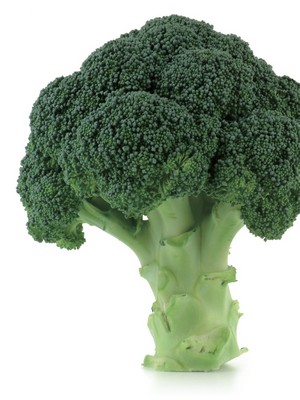 ΜΠΡΟΚΟΛΟ HERAKLION F1 (*20)