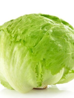 ΣΑΛΑΤΑ ICEBERG (8*20)