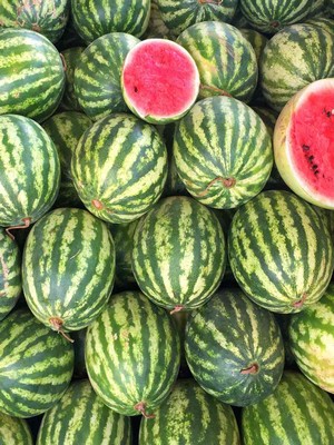 ΚΑΡΠΟΥΖΙ VARDA F1 (*60)