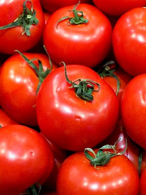 ΝΤΟΜΑΤΑ BOBCAT F1 (*60)